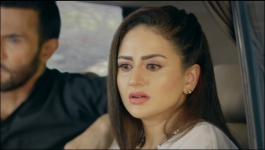 Banni Cow Home Delivery - 2nd Aug 2022